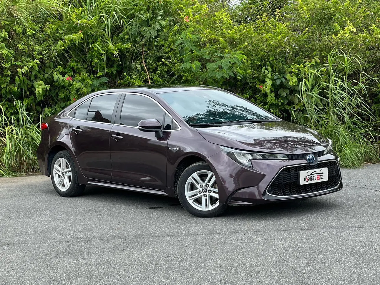 Toyota Levin 2019 Hybrid 1.8H Luxury China VI