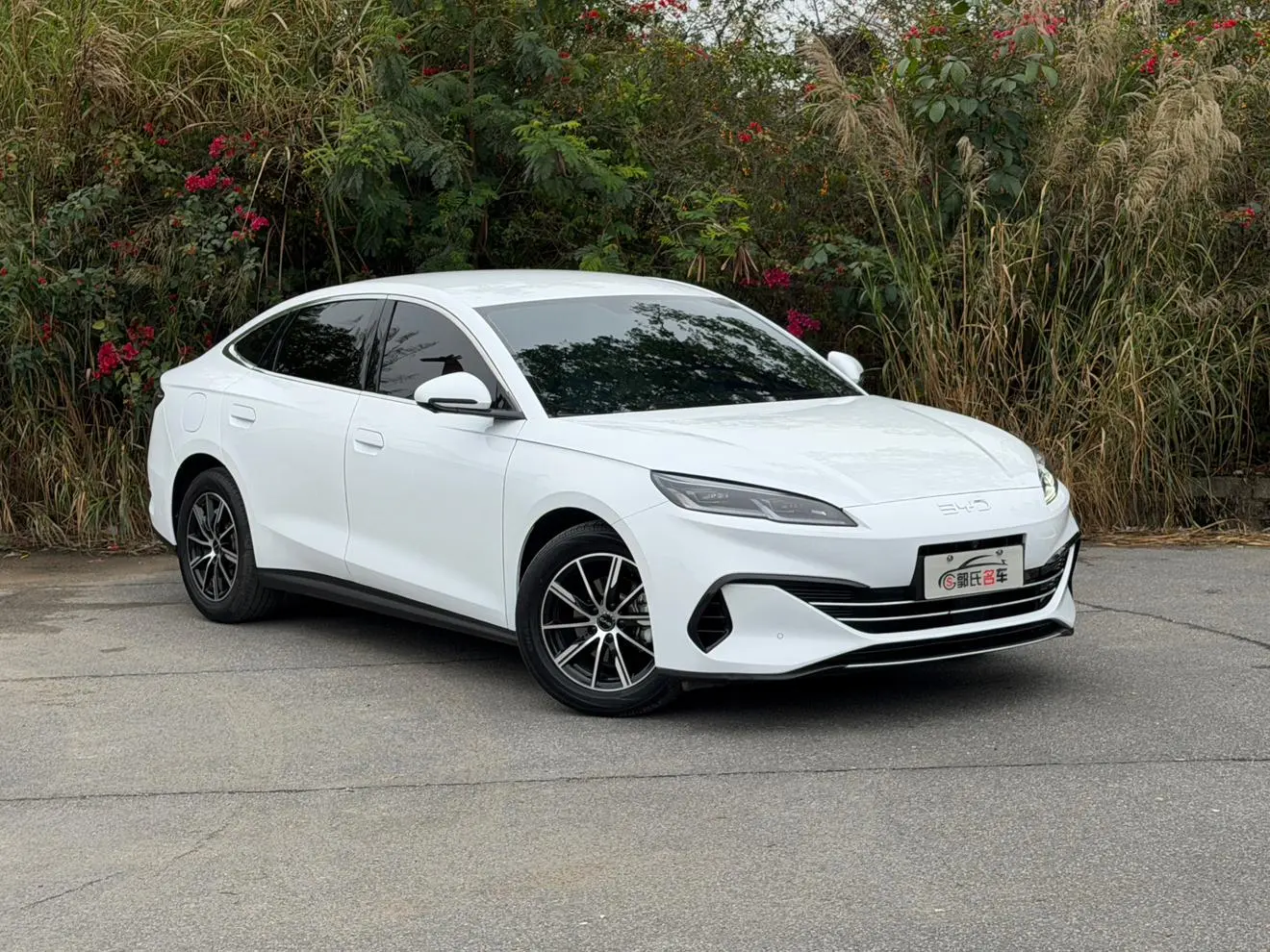 BYD Seal 06DM 2024 DM-i 80KM Premium