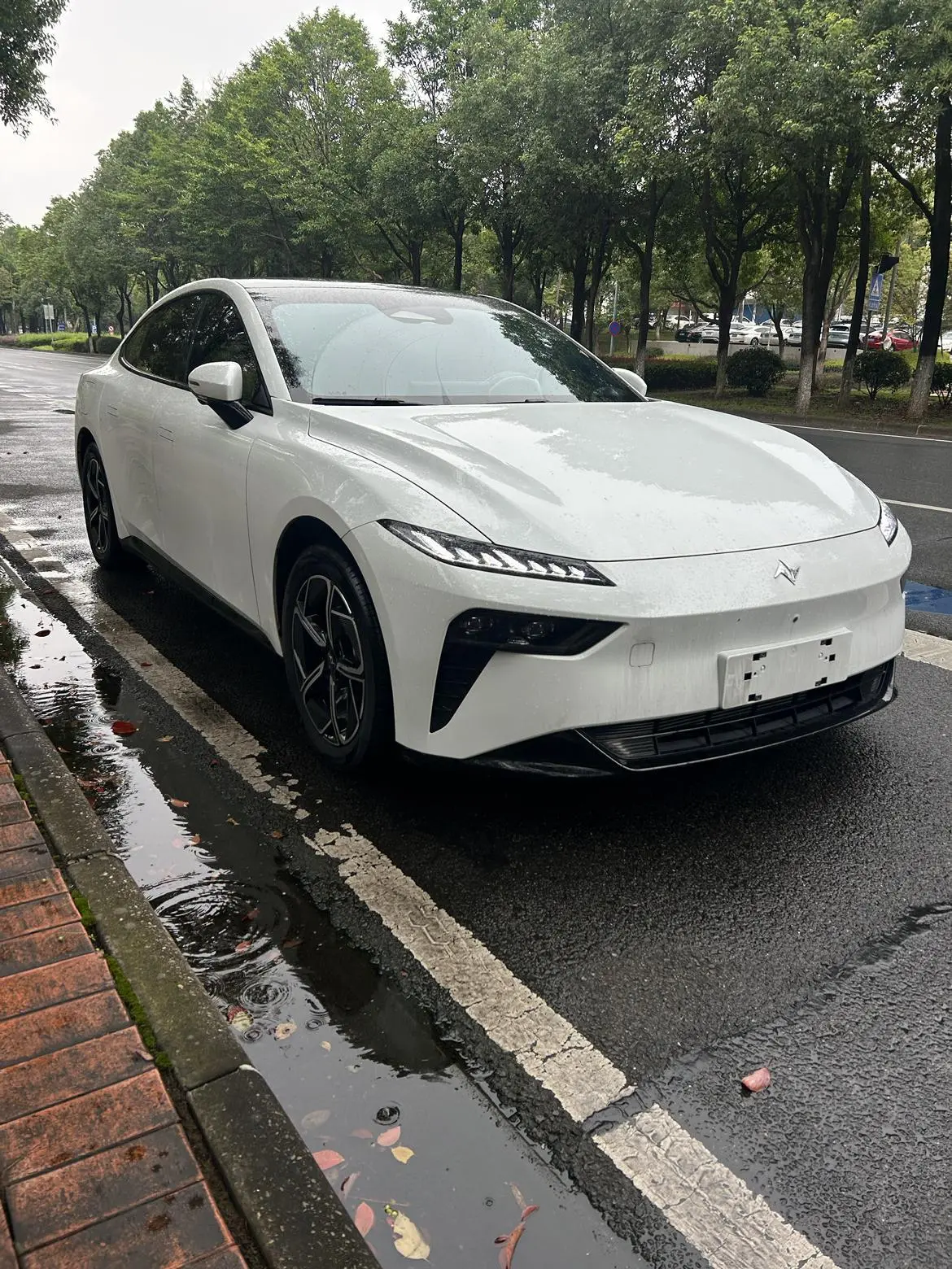 Dongfeng 007 2024 EREV 200