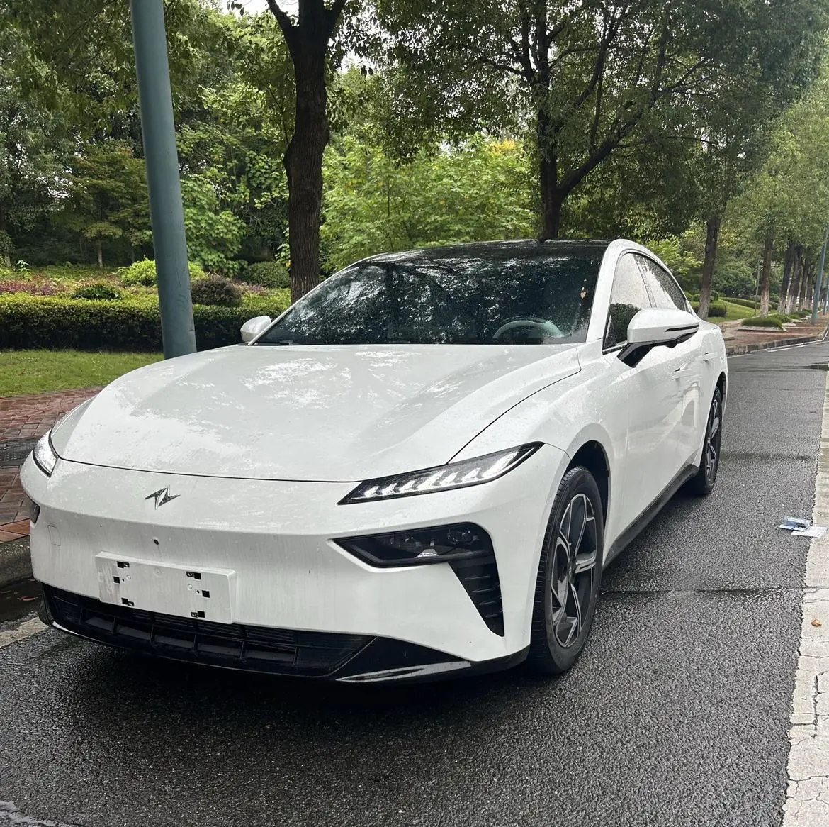Dongfeng 007 2024 EREV 200