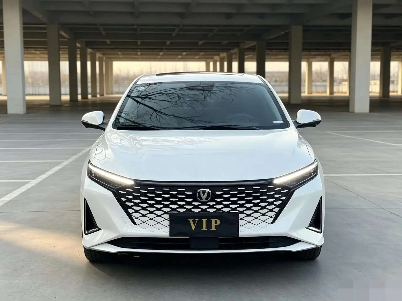 Changan Raeton PLUS 2023 1.5T DCT Luxury
