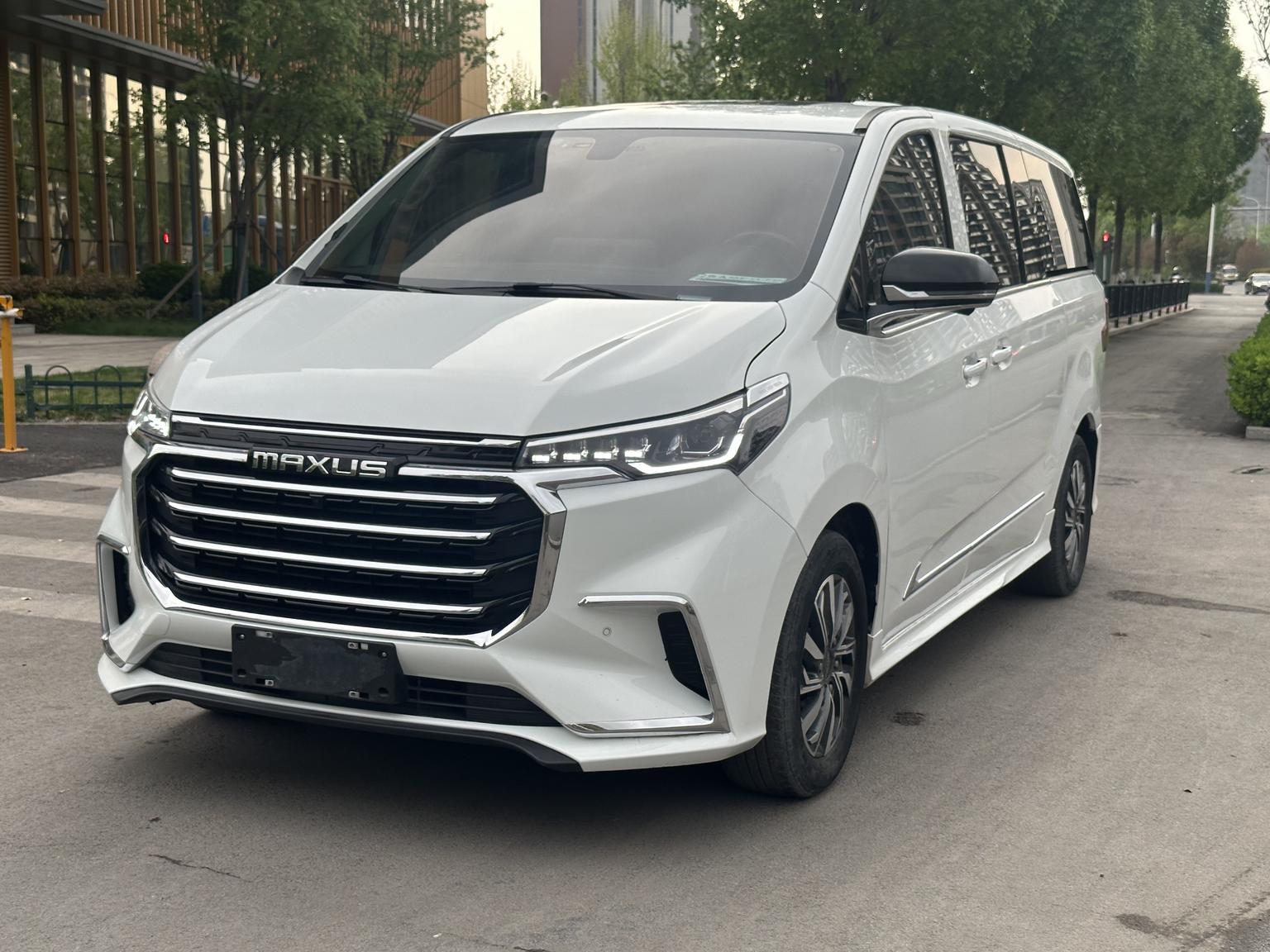 Da Da G20 2020 2.0T Petrol Auto Luxury China VI