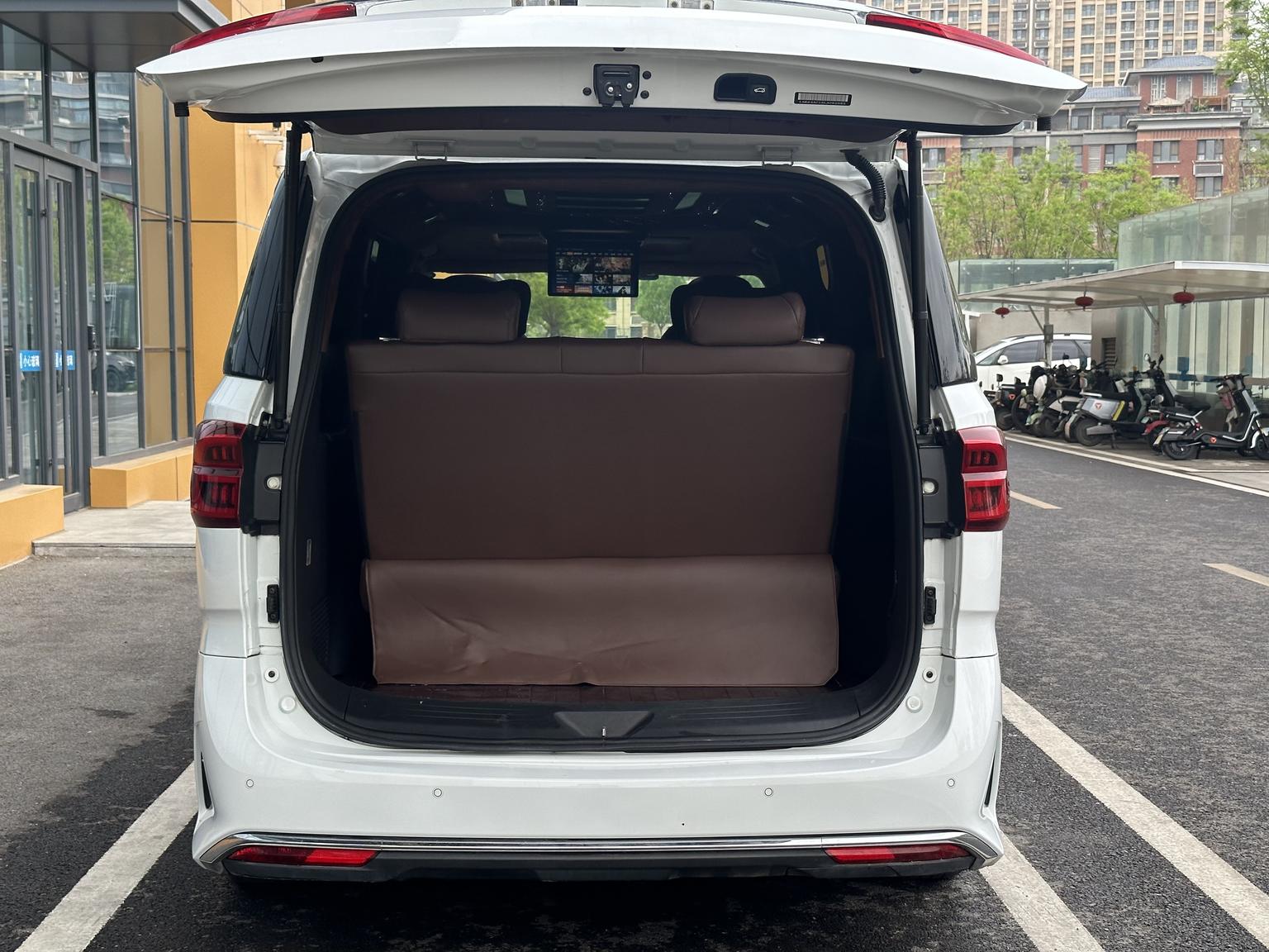 Da Da G20 2020 2.0T Petrol Auto Luxury China VI