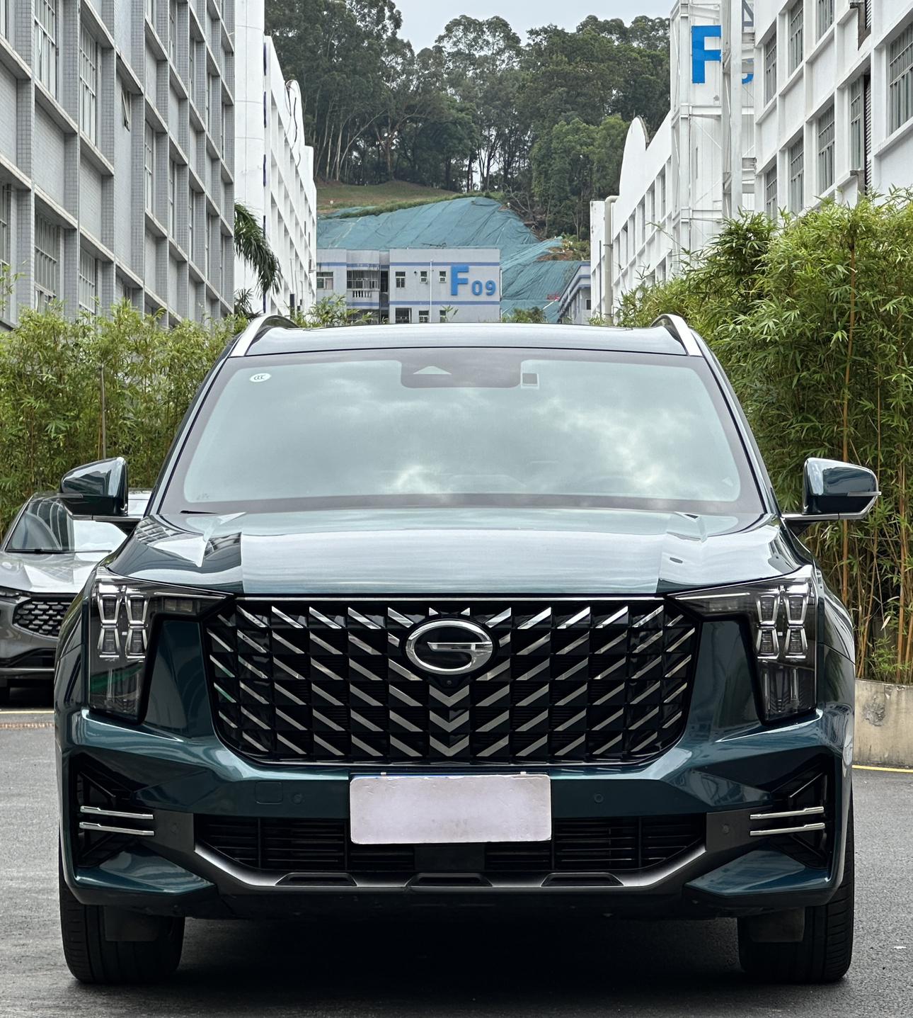 GAC Trumpchi Trumpchi GS8 2022 Series 2.0TGDI 2WD Premium 6 seat