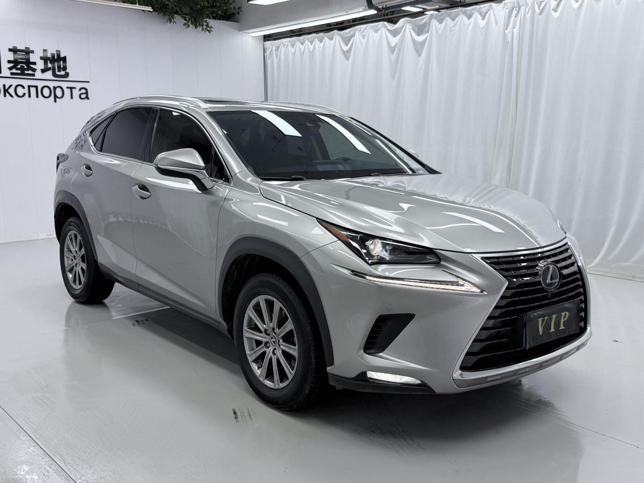 Lexus NX 2020 200 China VI