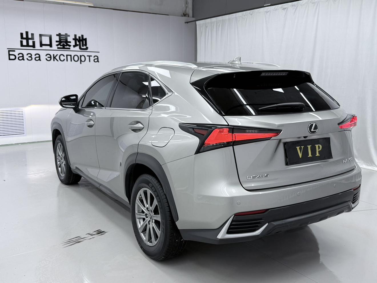 Lexus NX 2020 200 China VI