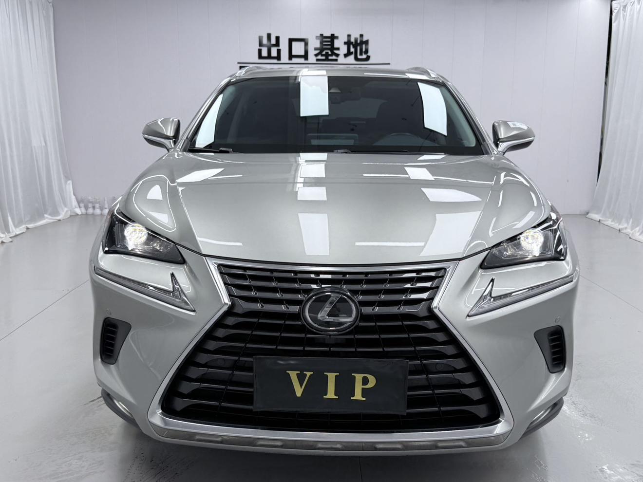 Lexus NX 2020 200 China VI