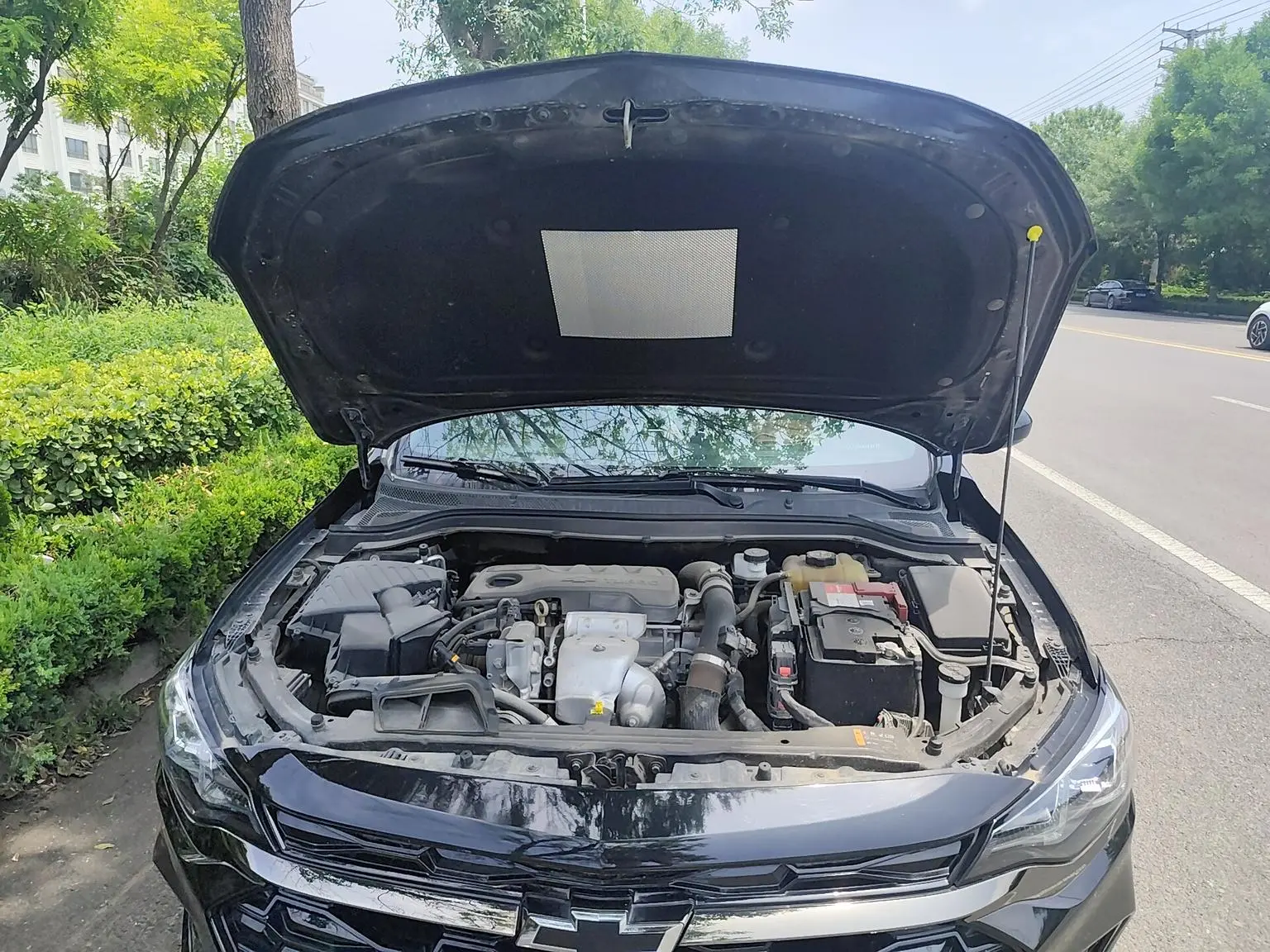 Chevrolet Cruze 2019 RS 330T Auto