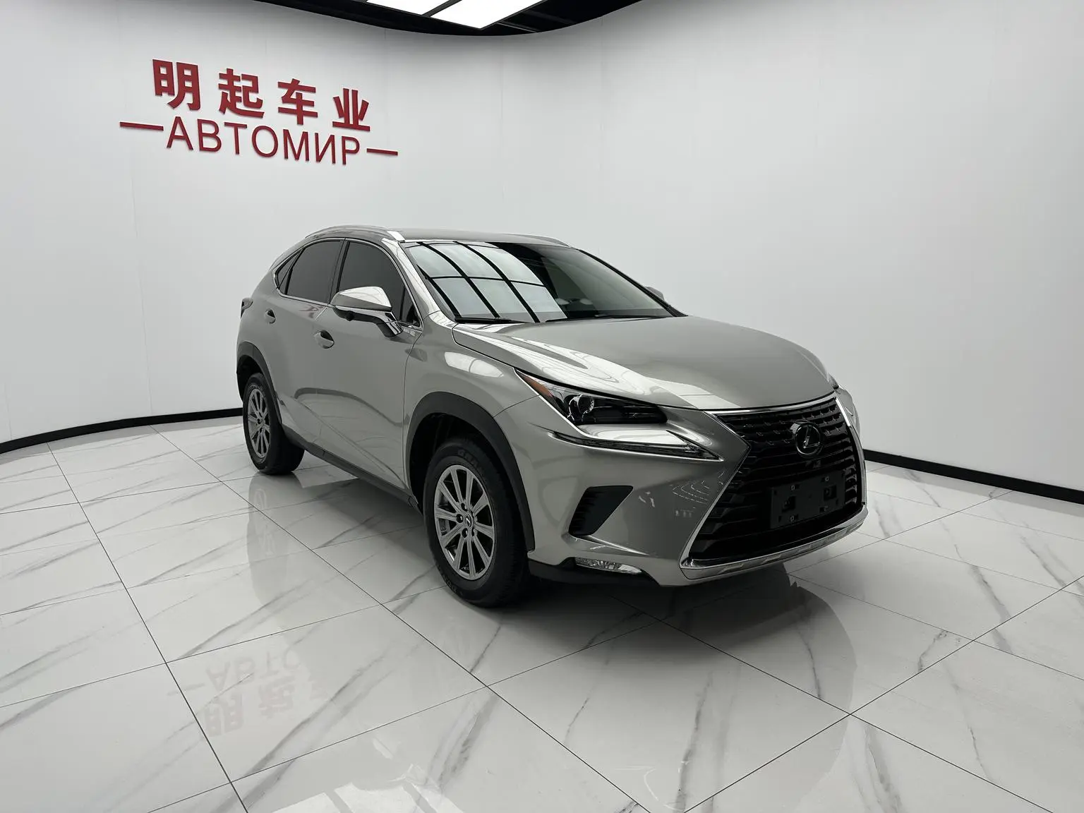 Lexus NX 2020 200 FWD China VI