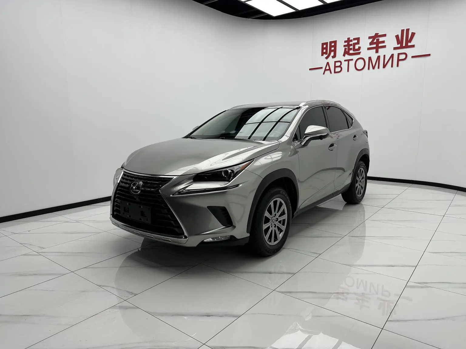 Lexus NX 2020 200 FWD China VI