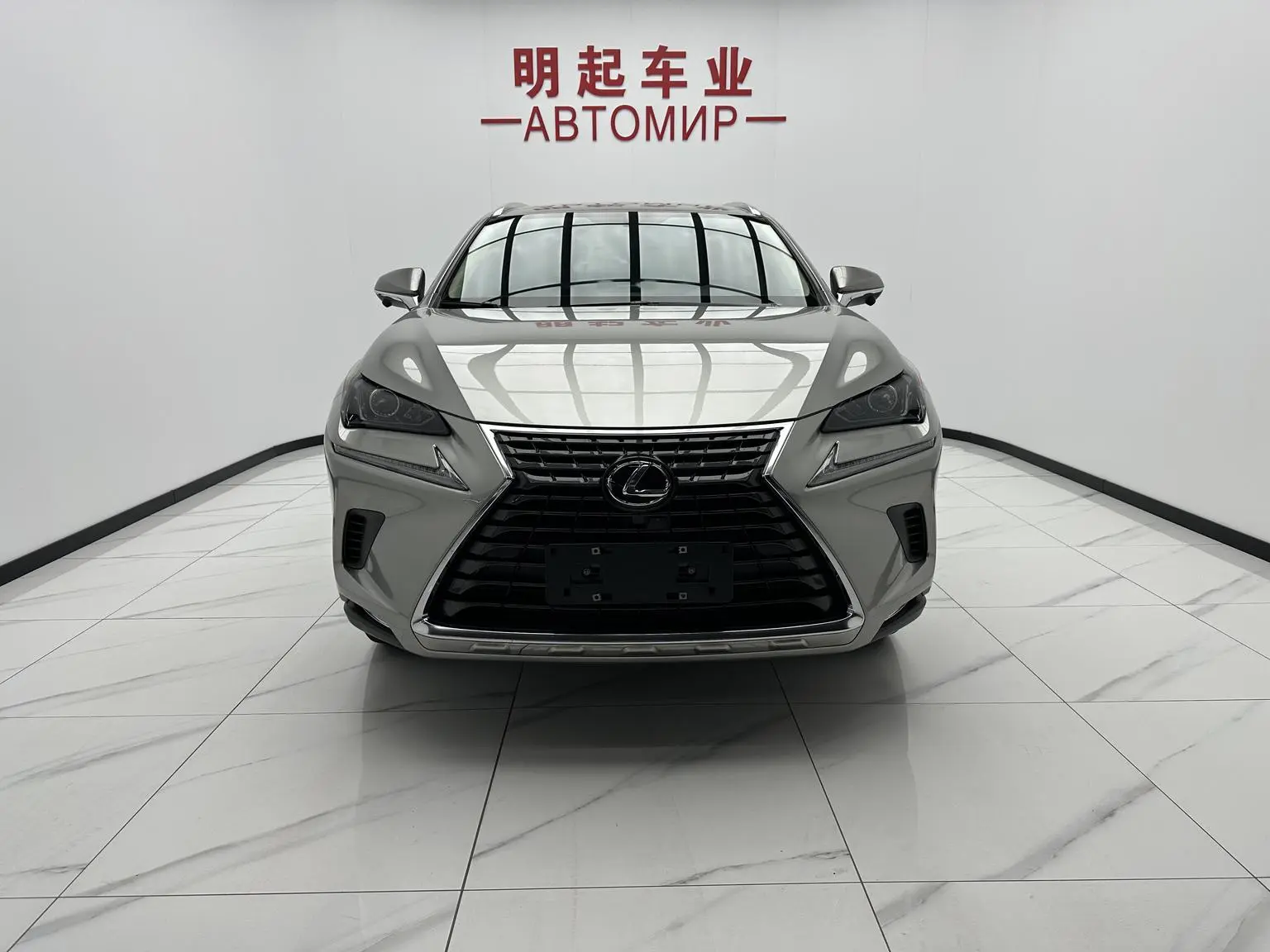 Lexus NX 2020 200 FWD China VI