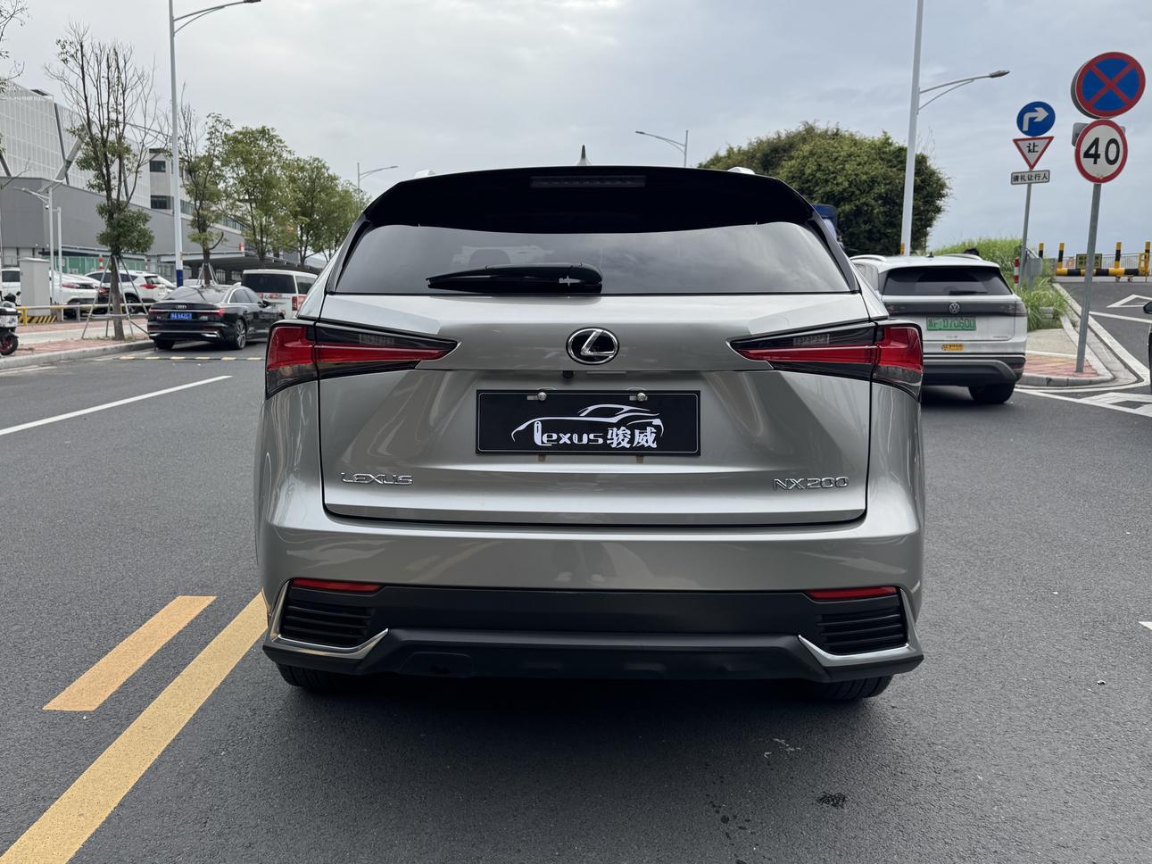 Lexus NX 2020 200 China VI