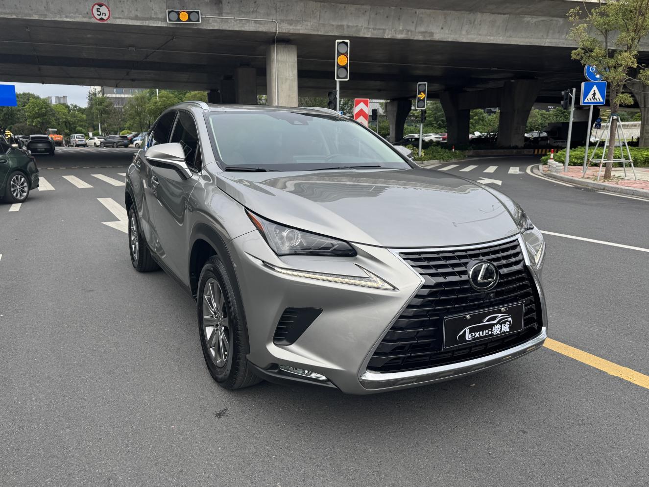 Lexus NX 2020 200 China VI