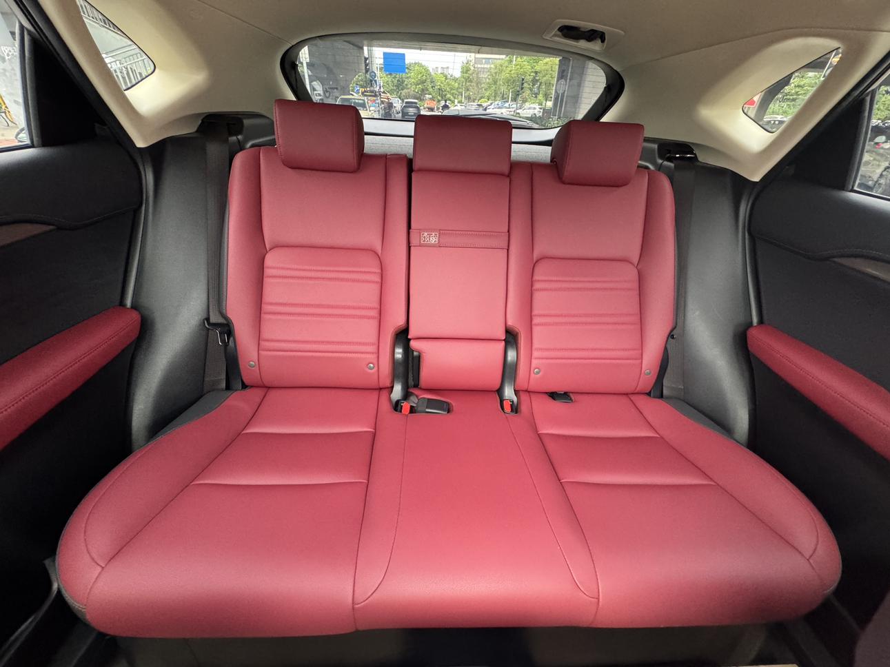 Lexus NX 2020 200 China VI