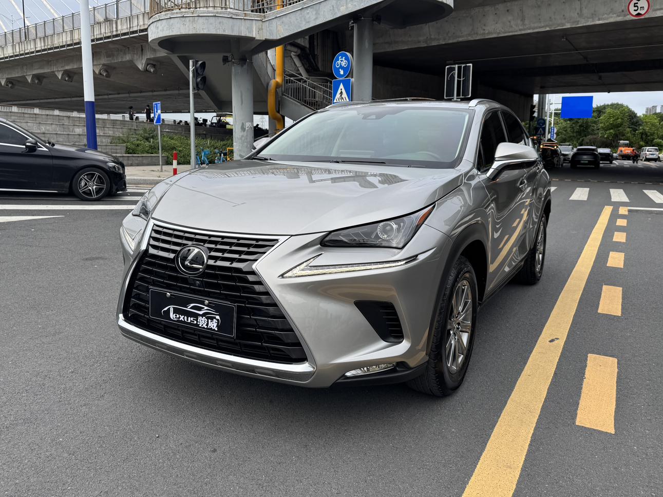 Lexus NX 2020 200 China VI