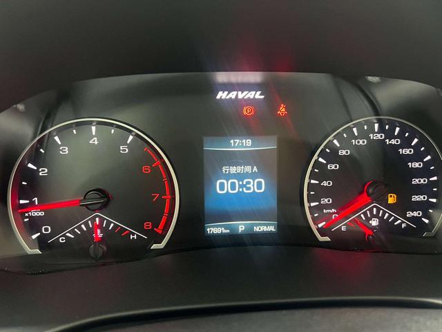 Haval H6 2023 Guochao 1.5T Auto Urban
