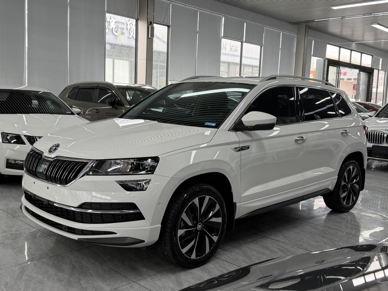Skoda 2022 TSI280