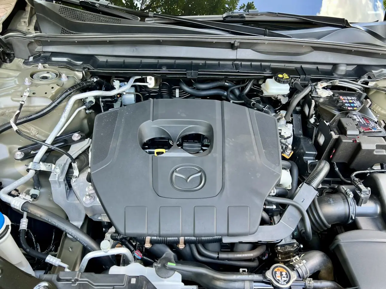 Mazda CX-50 2023 2.5L Auto Premium