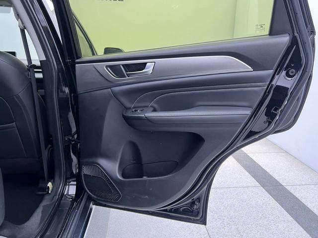 Haval M6 2021 PLUS 1.5T DCT Liu Yan joint name