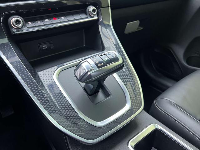 Haval M6 2021 PLUS 1.5T DCT Liu Yan joint name