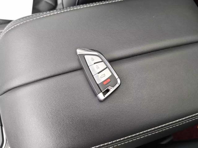Hongqi HS7 2021 3.0T Auto 4WD Smart Connected flag collar
