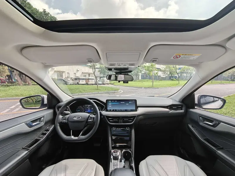 Ruiji 2024 EcoBoost 245 two-wheel drive Yaoxiang model