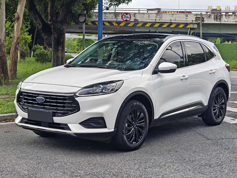 Ruiji 2024 EcoBoost 245 two-wheel drive Yaoxiang model