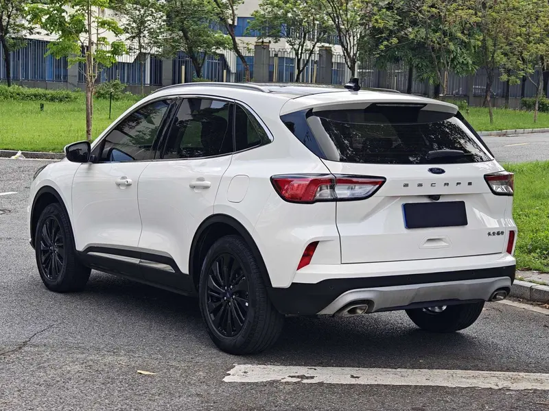 Ruiji 2024 EcoBoost 245 two-wheel drive Yaoxiang model