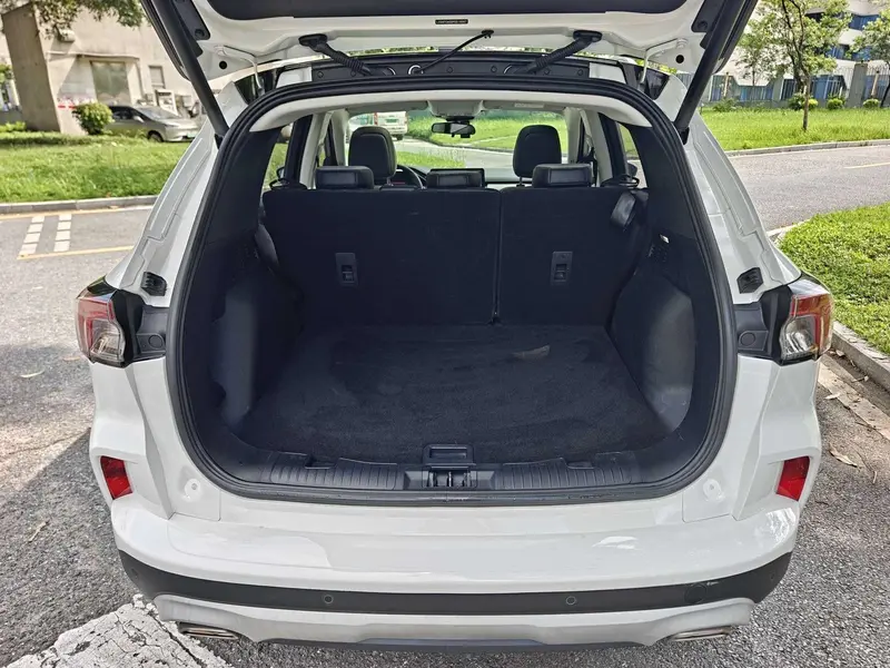 Ruiji 2024 EcoBoost 245 two-wheel drive Yaoxiang model