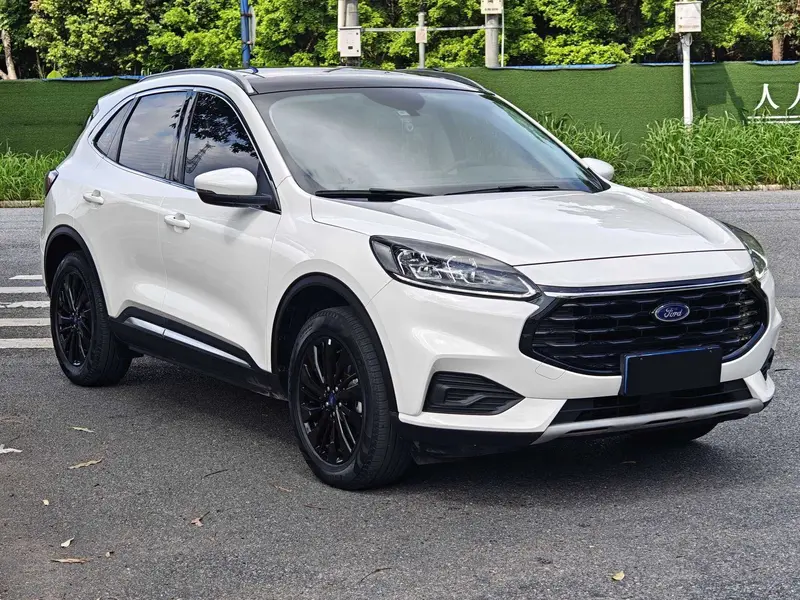 Ruiji 2024 EcoBoost 245 two-wheel drive Yaoxiang model