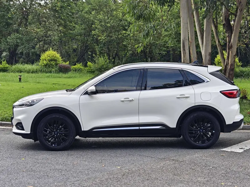 Ruiji 2024 EcoBoost 245 two-wheel drive Yaoxiang model