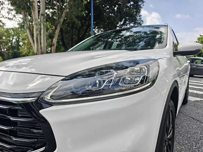 Ruiji 2024 EcoBoost 245 two-wheel drive Yaoxiang model