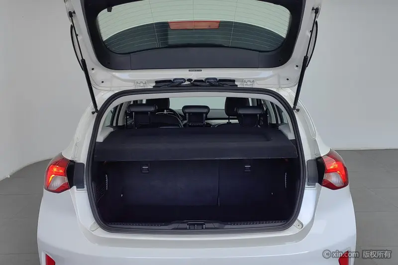 Focus 2019 Hatchback EcoBoost 125 Automatic NeochaEDGE National VI
