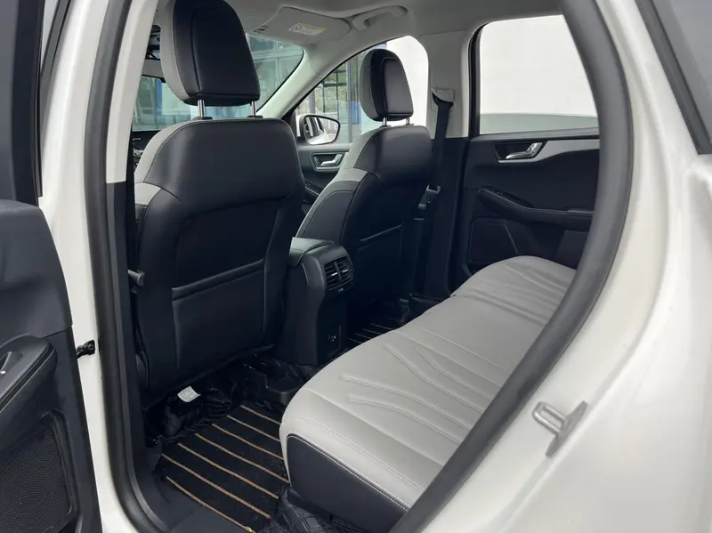 Ruiji 2024 EcoBoost 245 two-wheel drive Yaoxiang model