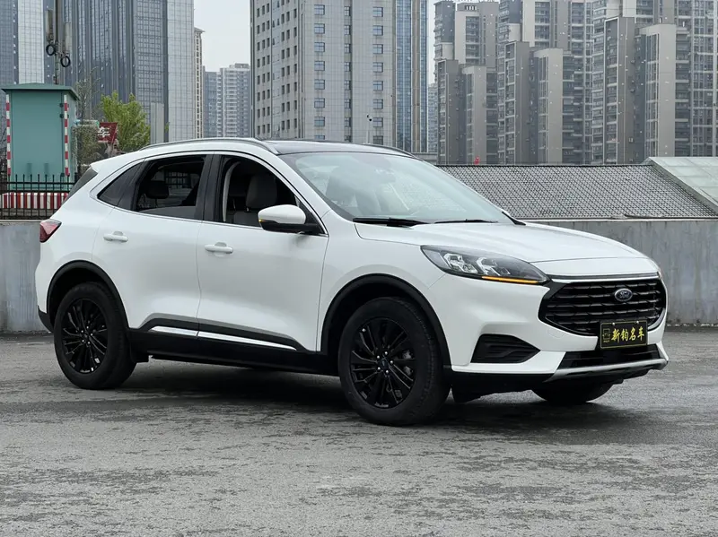 Ruiji 2024 EcoBoost 245 two-wheel drive Yaoxiang model