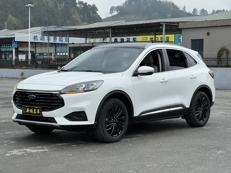 Ruiji 2024 EcoBoost 245 two-wheel drive Yaoxiang model