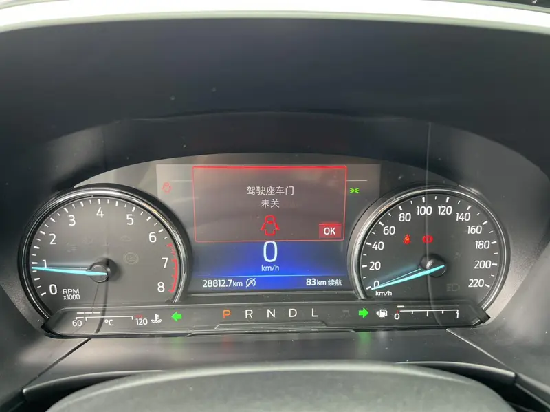 Ruiji 2024 EcoBoost 245 two-wheel drive Yaoxiang model