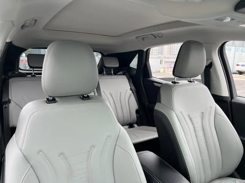 Ruiji 2024 EcoBoost 245 two-wheel drive Yaoxiang model