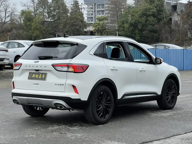 Ruiji 2024 EcoBoost 245 two-wheel drive Yaoxiang model