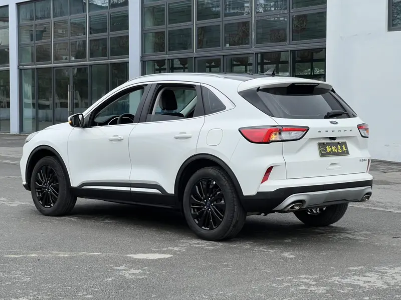 Ruiji 2024 EcoBoost 245 two-wheel drive Yaoxiang model