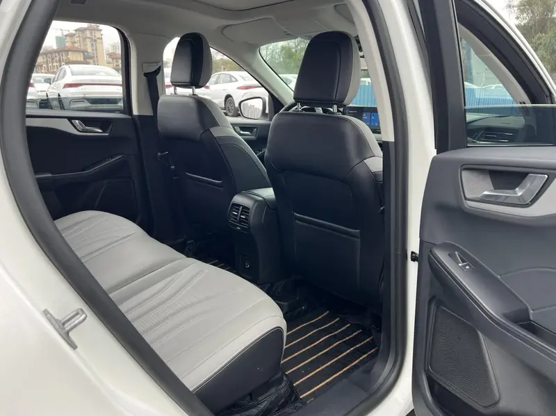 Ruiji 2024 EcoBoost 245 two-wheel drive Yaoxiang model