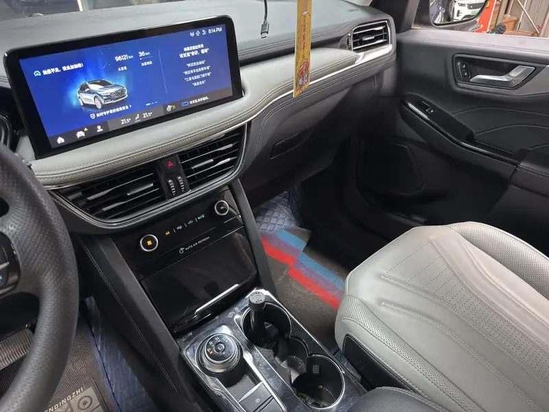 Ruiji 2024 EcoBoost 245 two-wheel drive leisure model