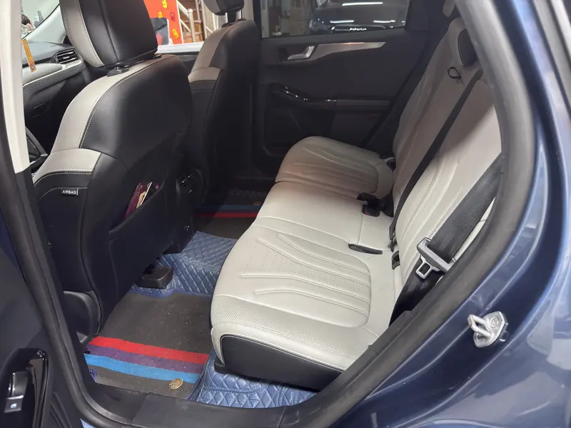 Ruiji 2024 EcoBoost 245 two-wheel drive leisure model