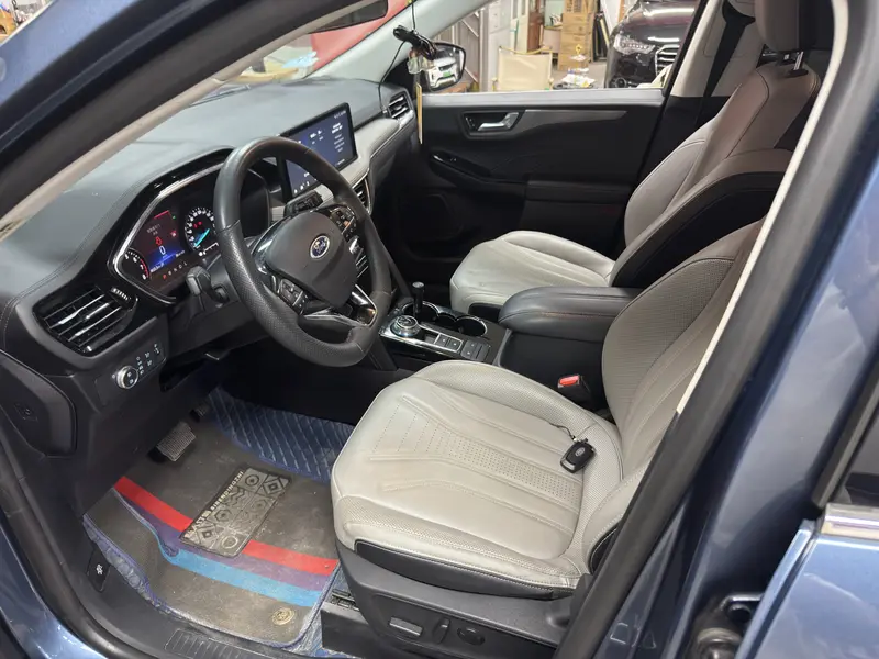 Ruiji 2024 EcoBoost 245 two-wheel drive leisure model