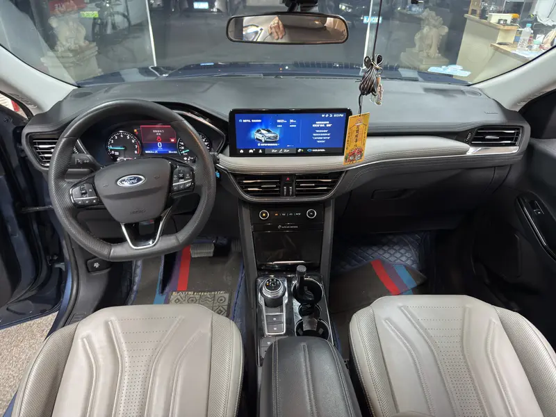 Ruiji 2024 EcoBoost 245 two-wheel drive leisure model