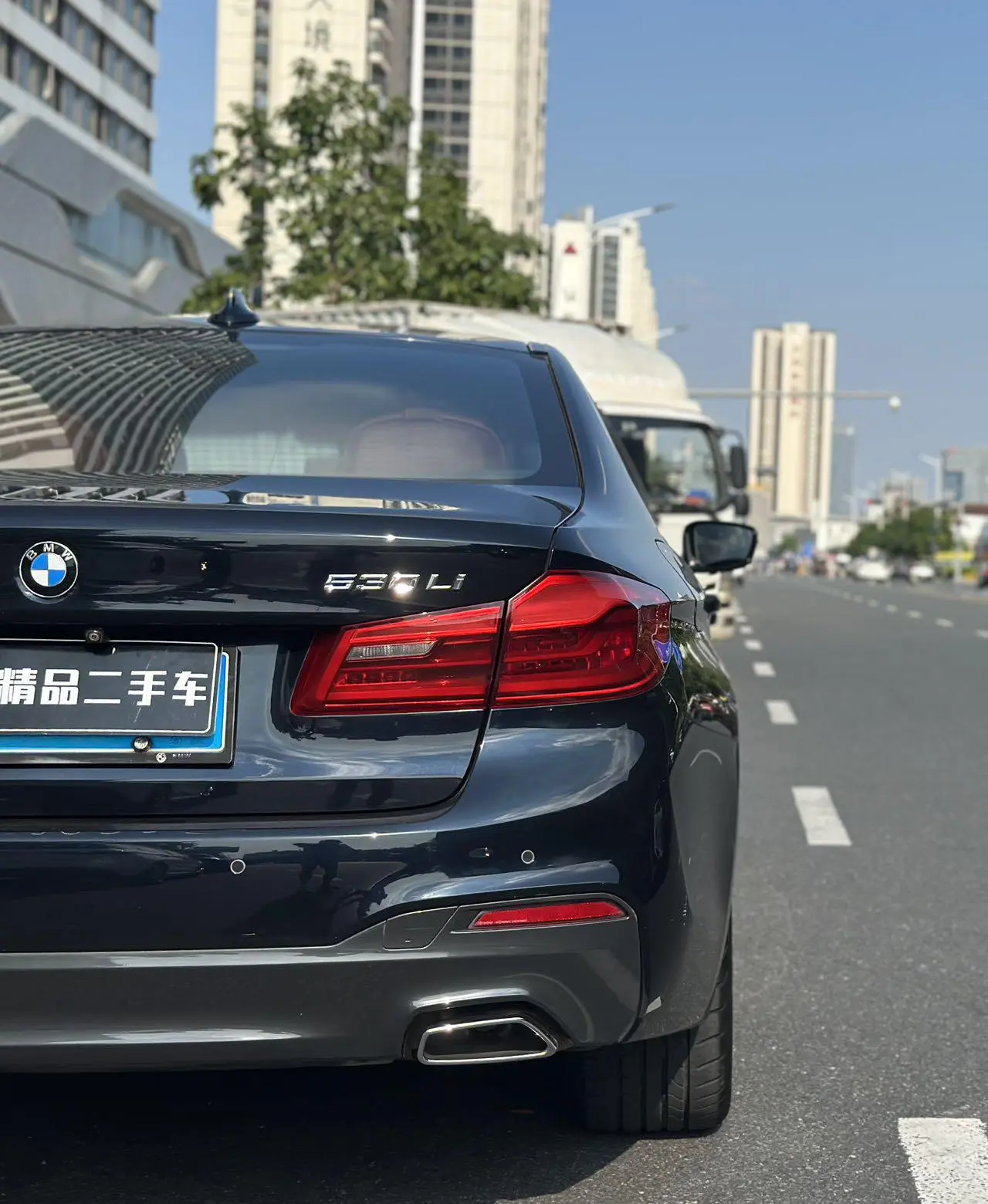 BMW 5 Series 2020 530Li Leading M Sport Package