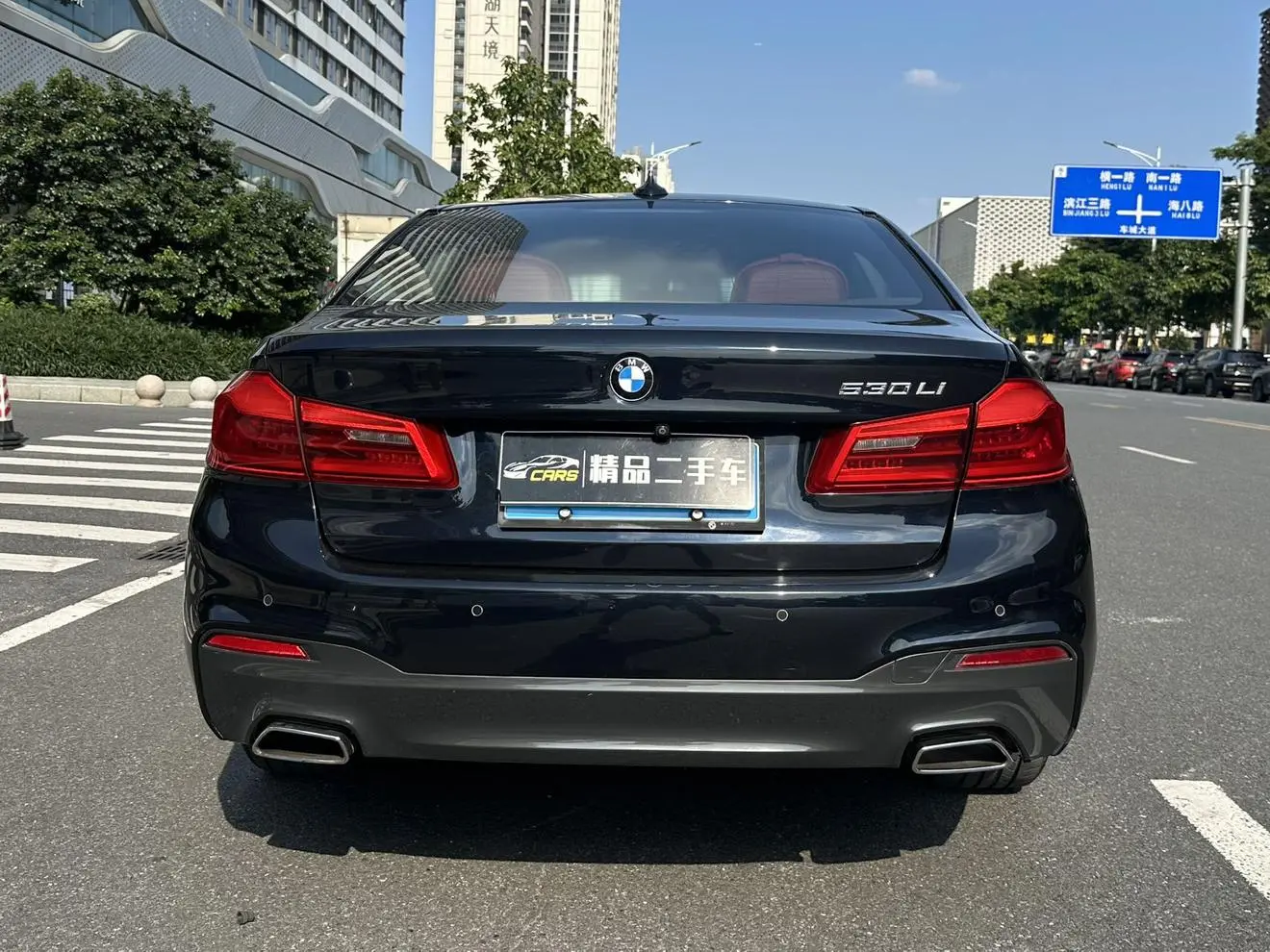 BMW 5 Series 2020 530Li Leading M Sport Package