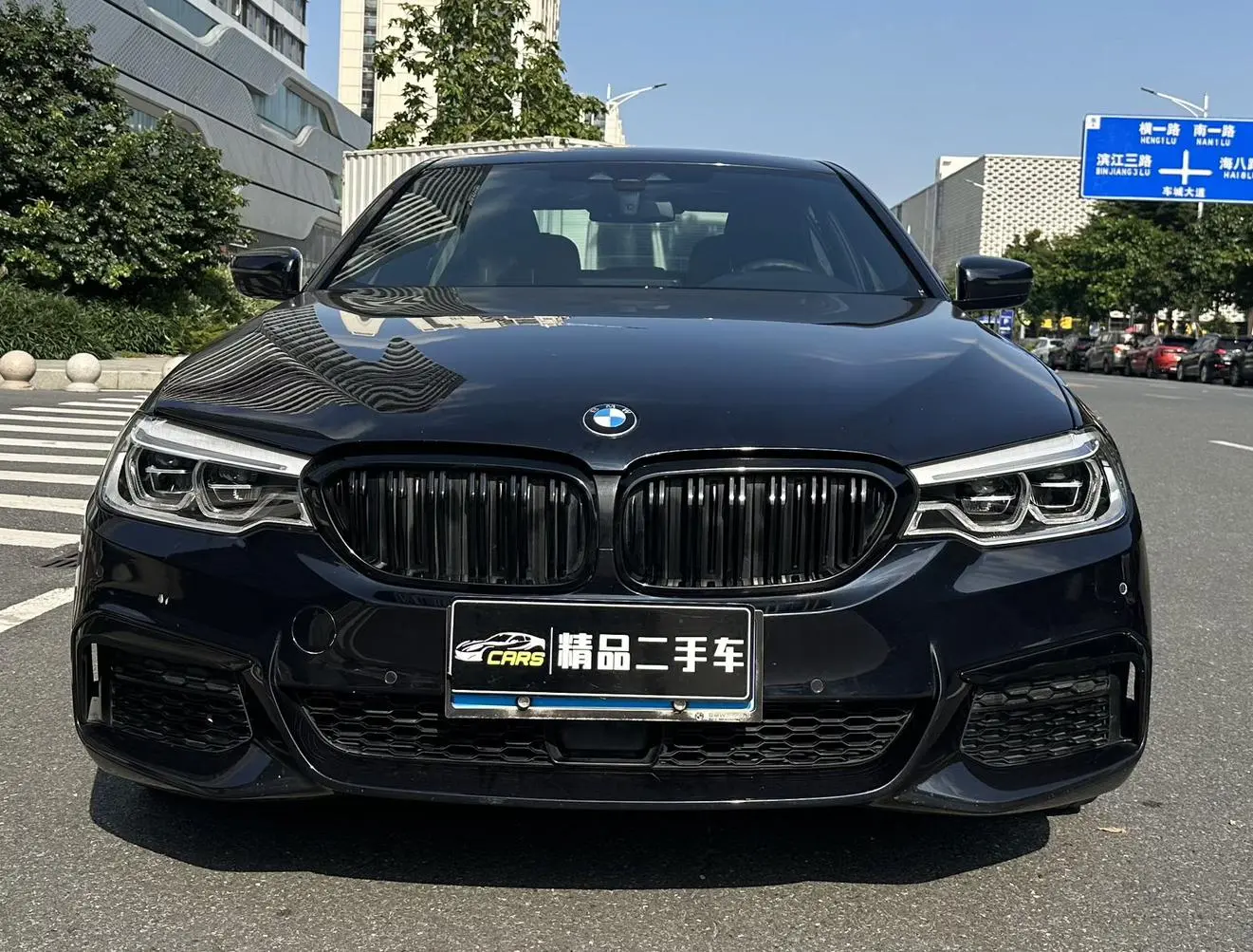 BMW 5 Series 2020 530Li Leading M Sport Package