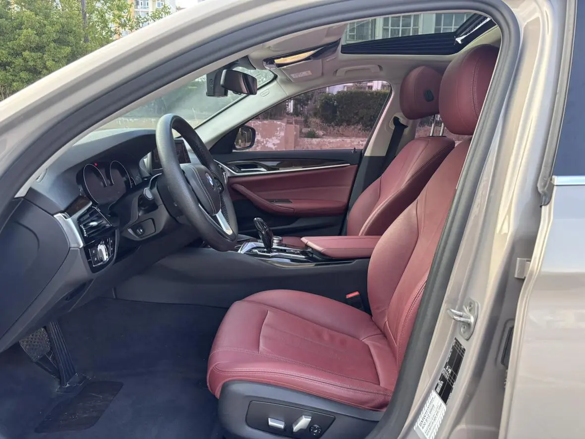 BMW 5 Series 2018 528Li Launch Special