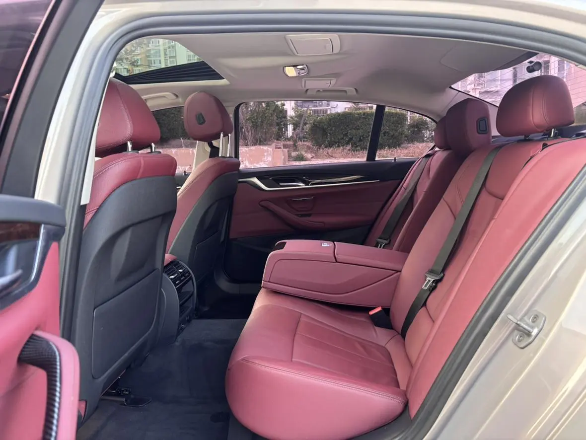 BMW 5 Series 2018 528Li Launch Special
